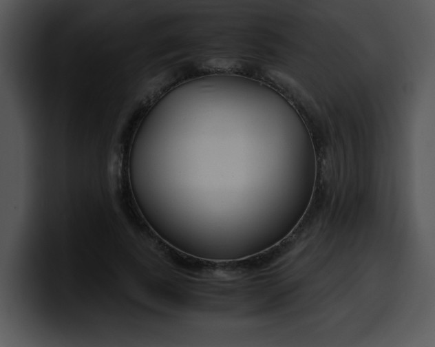 X0000099990739200806061544