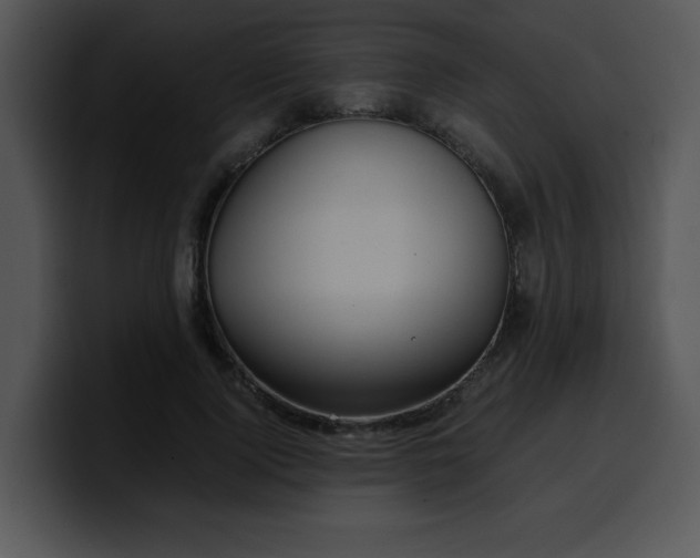 X0000099990740200806061544