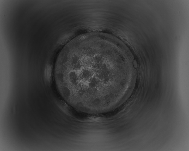 X0000099990742200806061544