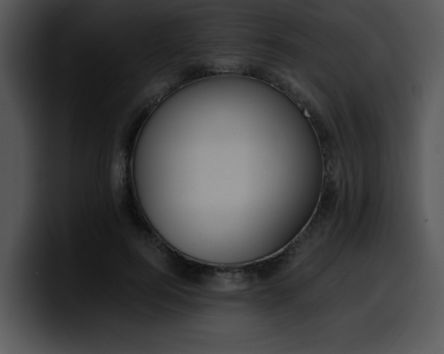 X0000099990744200806061544