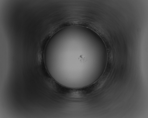 X0000099990746200806061544