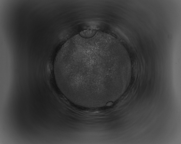 X0000099990747200806061544