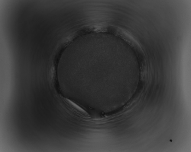 X0000099990748200806061544