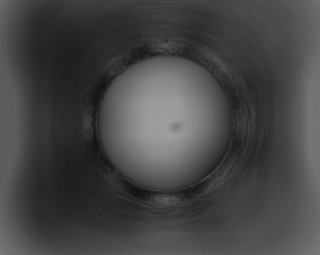 X0000099990749200806061544