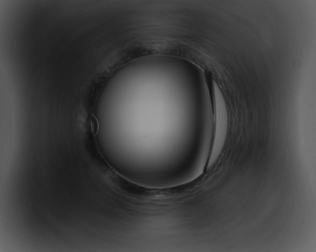 X0000099990750200806061544