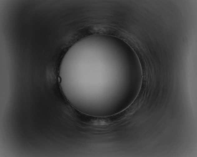 X0000099990751200806061544