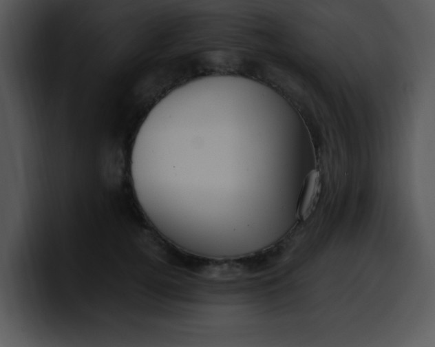 X0000099990752200806061544