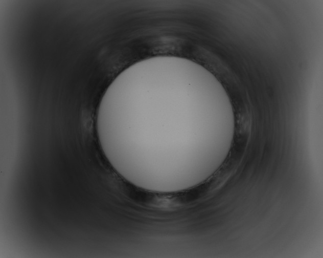 X0000099990753200806061544