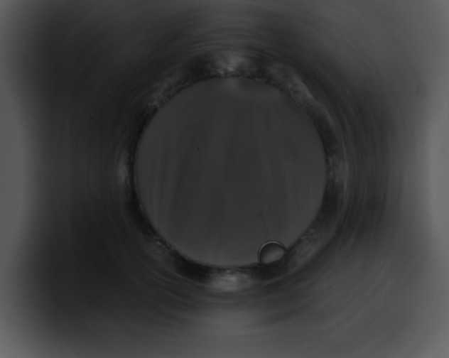 X0000099990754200806061544