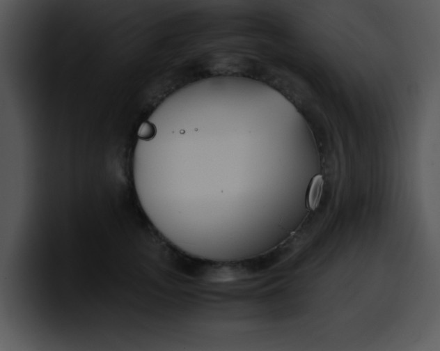 X0000099990755200806061544