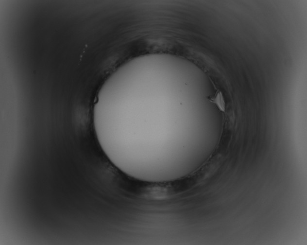 X0000099990756200806061544