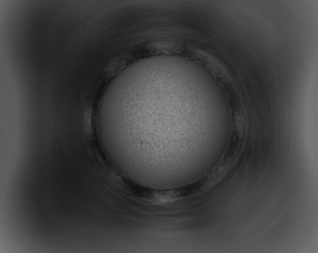 X0000099990757200806061544