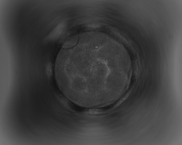 X0000099990758200806061544