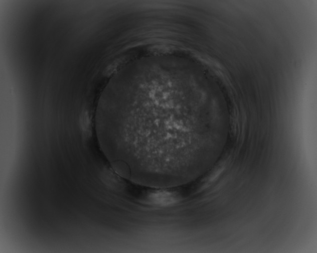 X0000099990759200806061544