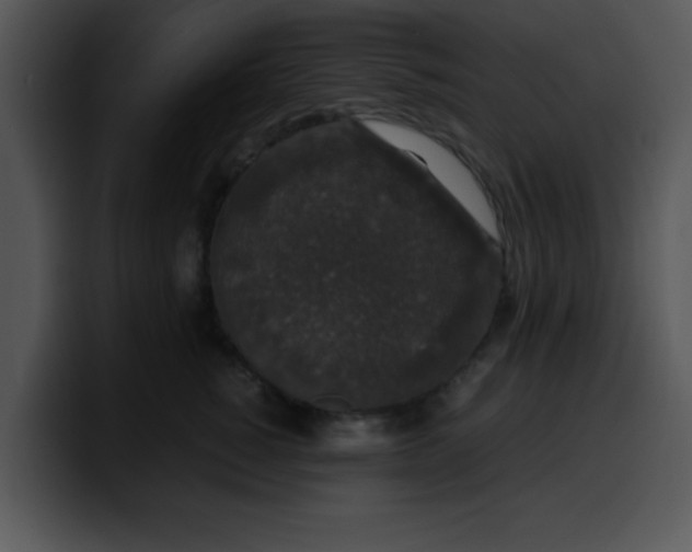 X0000099990760200806061544