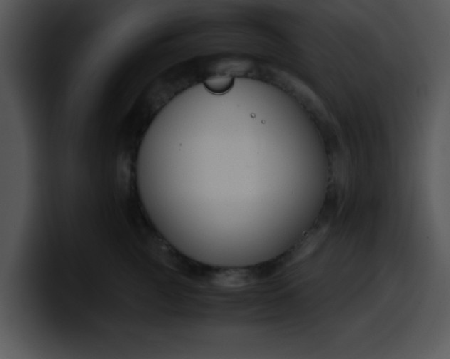 X0000099990761200806061544