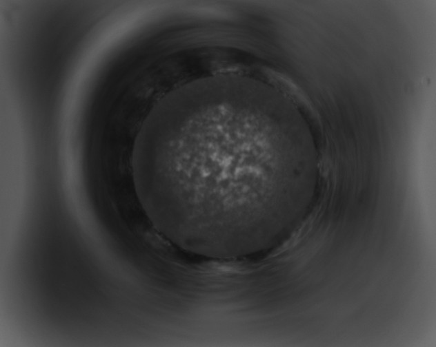 X0000099990763200806061544