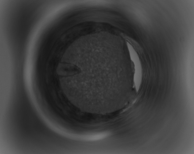 X0000099990765200806061544