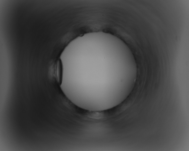 X0000099990768200806061544