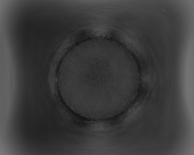 X0000099990769200806061543