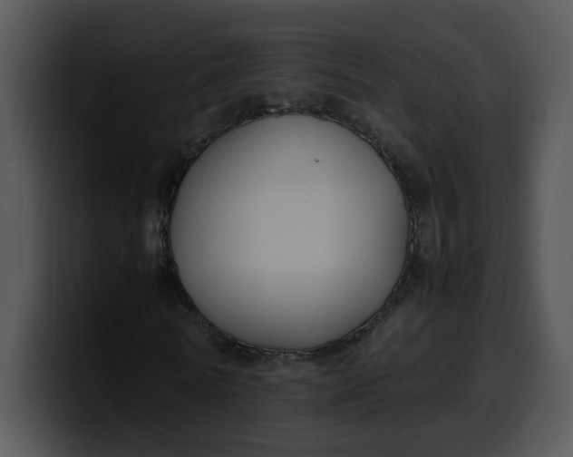 X0000099990770200806061543