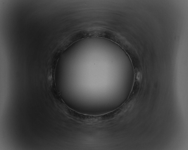 X0000099990771200806061543