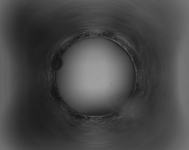 X0000099990773200806061543