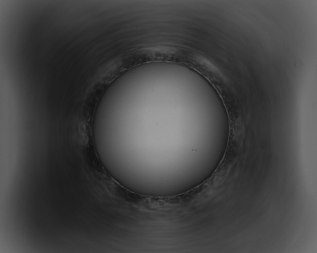 X0000099990774200806061543