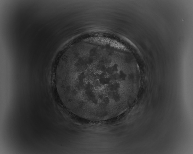 X0000099990775200806061543