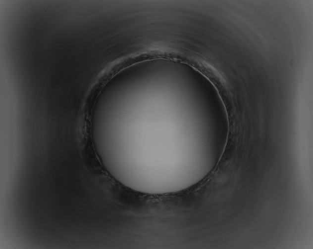 X0000099990776200806061543