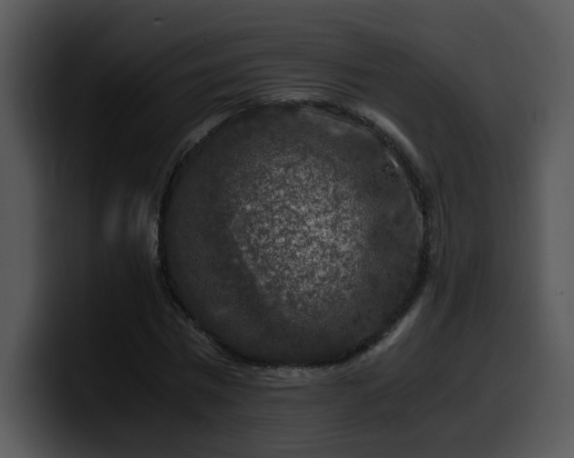 X0000099990777200806061543