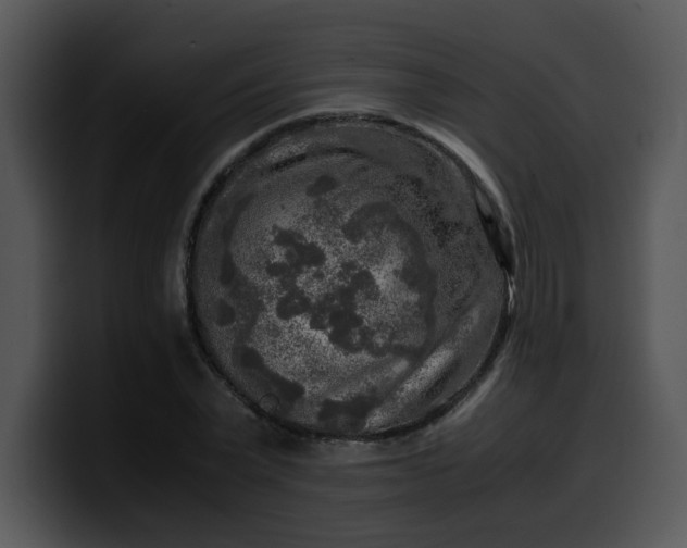 X0000099990783200806061543