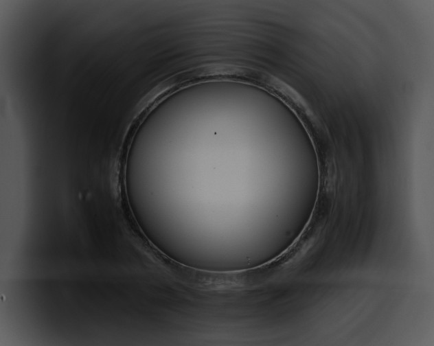 X0000099990786200806061543