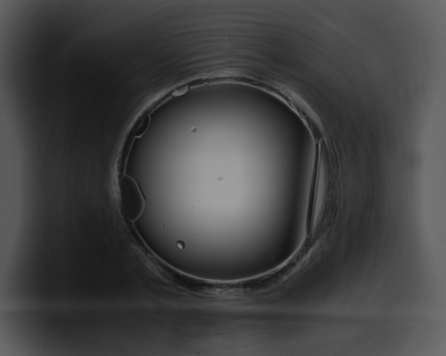 X0000099990789200806061543