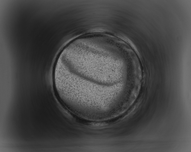 X0000099990795200806061543