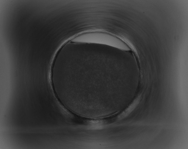 X0000099990797200806061543