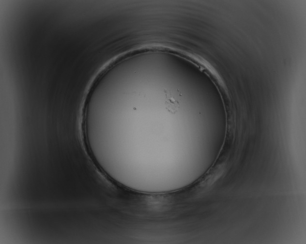 X0000099990799200806061543