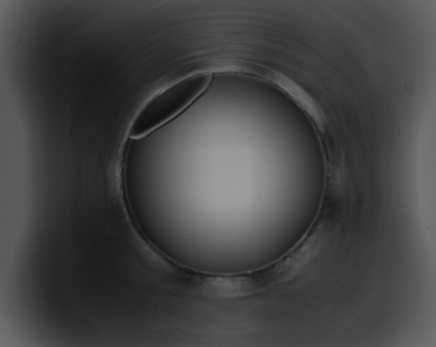 X0000099990805200806061543