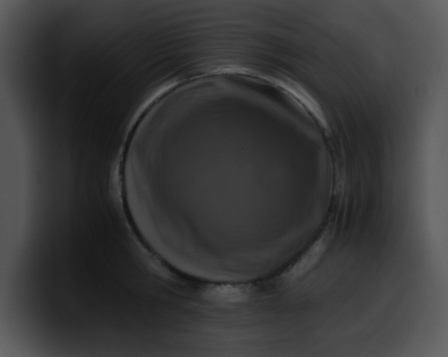 X0000099990806200806061543