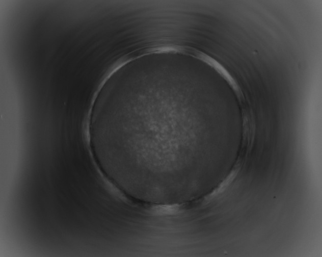 X0000099990810200806061543