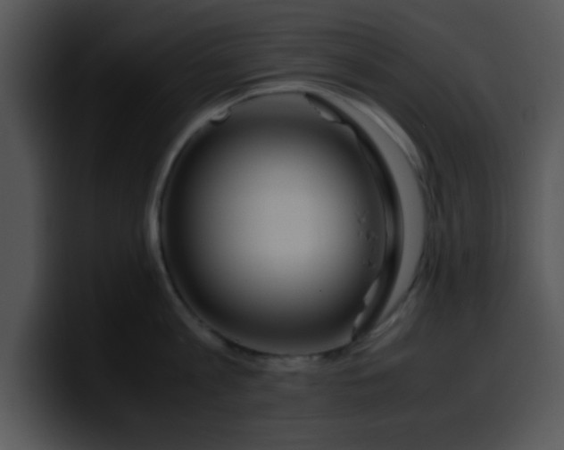 X0000099990813200806061543