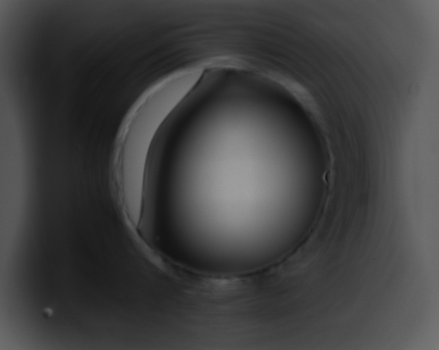 X0000099990816200806061543