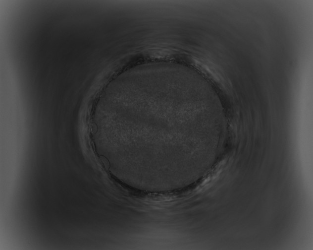 X0000099990817200806061542