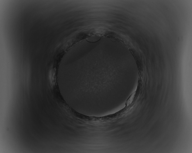 X0000099990818200806061542