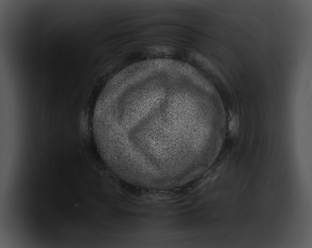 X0000099990819200806061542