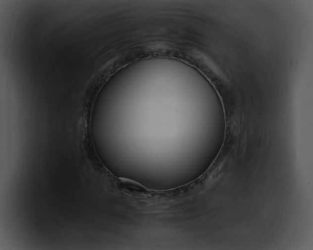 X0000099990821200806061542