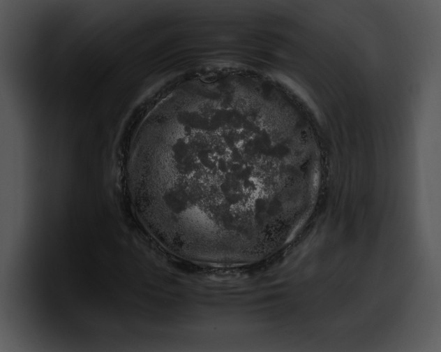 X0000099990823200806061542