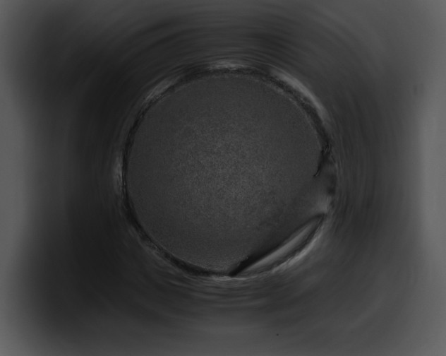 X0000099990825200806061542