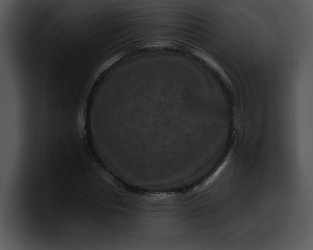 X0000099990826200806061542