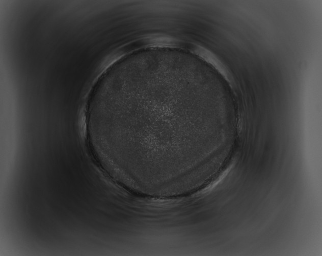 X0000099990829200806061542